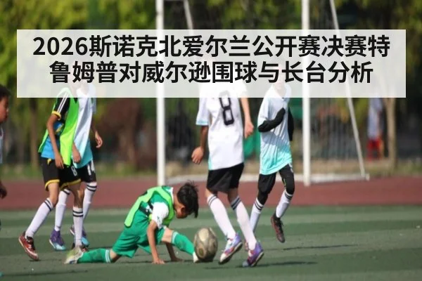 2026斯诺克北爱尔兰公开赛决赛特鲁姆普对威尔逊围球与长台分析